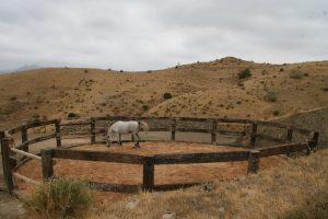 cerco para caballos con traviesas de tren