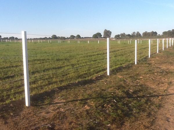 El pastor eléctrico en el cercado para caballos - Le Galop