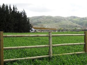 vallado de madera con postes de escuadría y vallado en madera torneado