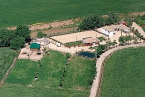 Finca Los Quintos | @AgrobrokerSL