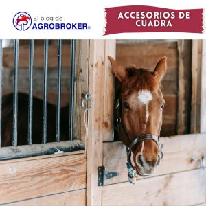 Accesorios de cuadra