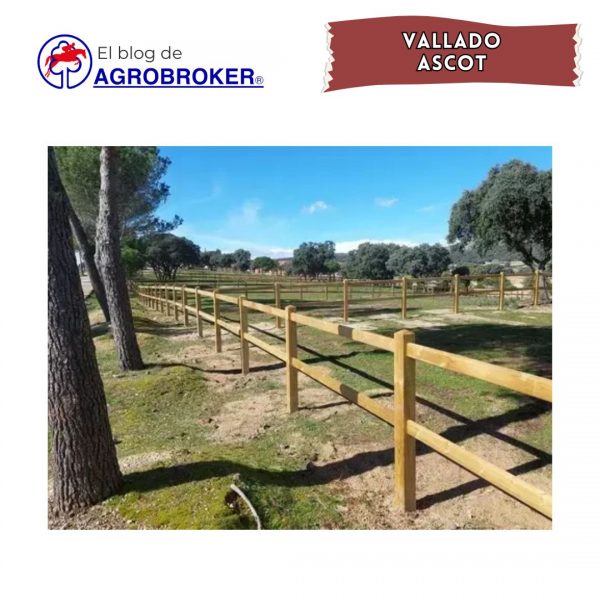 Nuestro blog de Agrobroker, presentamos al vallado asctor