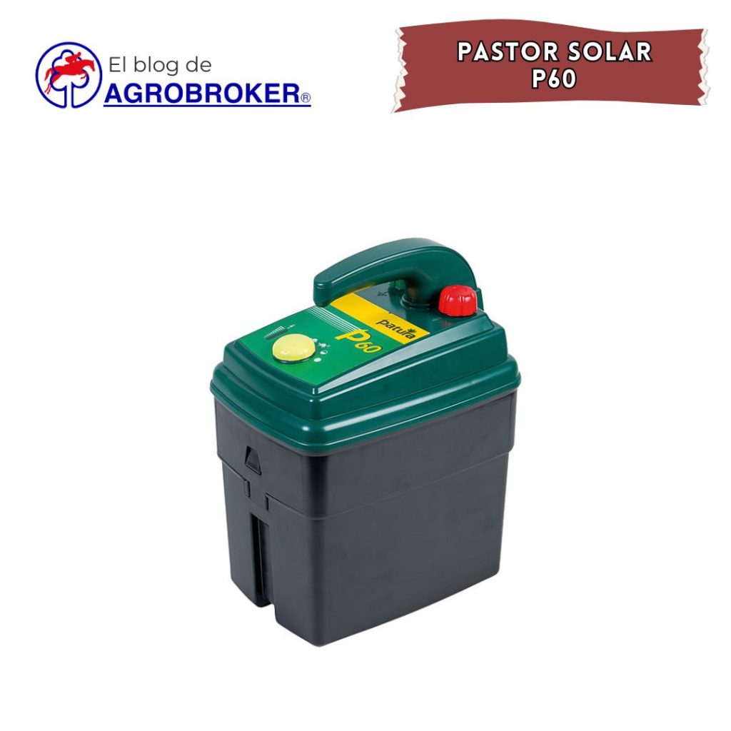pastor solar p60